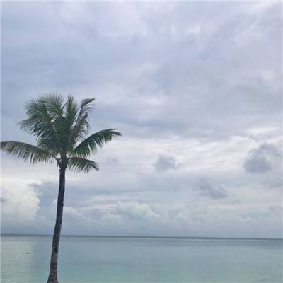 铁血防御单机版下载